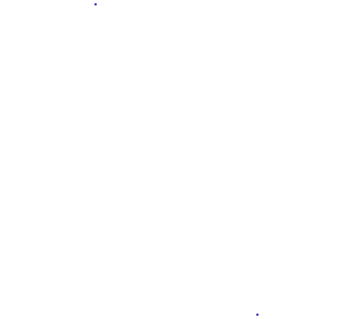 IT Consulting